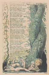 Lieder der Unschuld und der Erfahrung, Platte 22